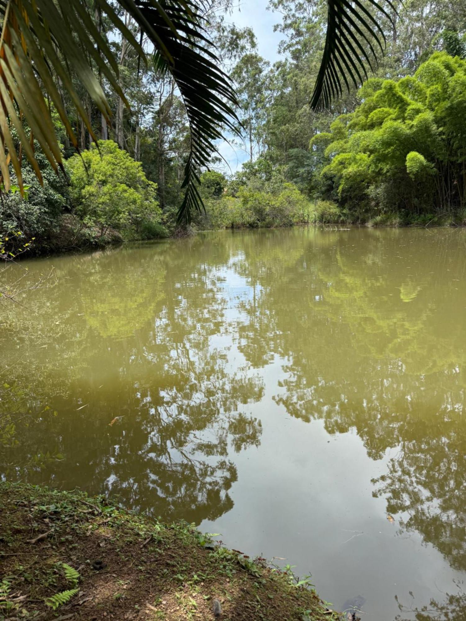 ساو لويز دو بارايتنغا Casarao Verde المظهر الخارجي الصورة